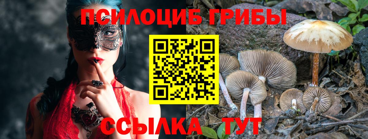 Галлюциногенные грибы MAGIC MUSHROOMS Карпинск